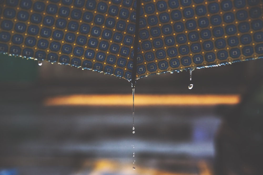 water drop on umbrella in close-up photography