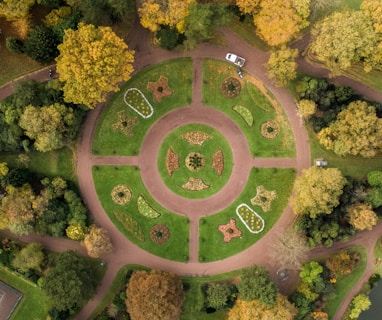 aerial photography of park