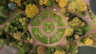 aerial photography of park