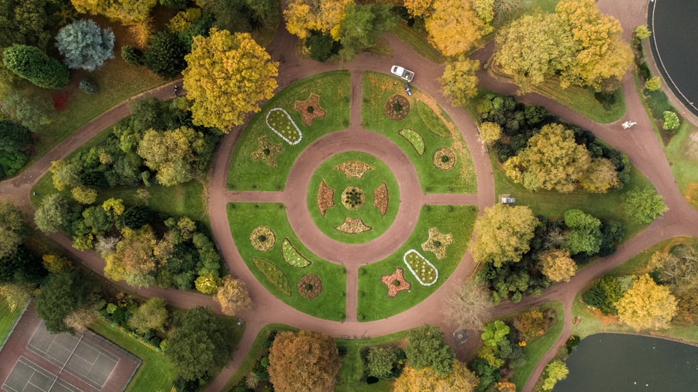 aerial photography of park