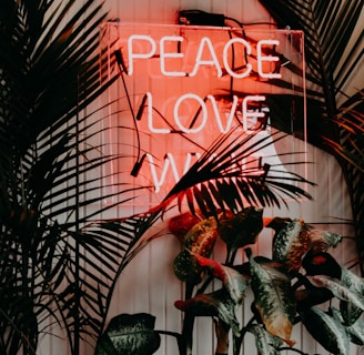 peace love neon signage near green leaf plants