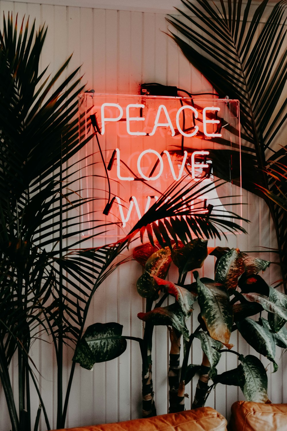 Signalisation au néon Peace Love près des plantes à feuilles vertes