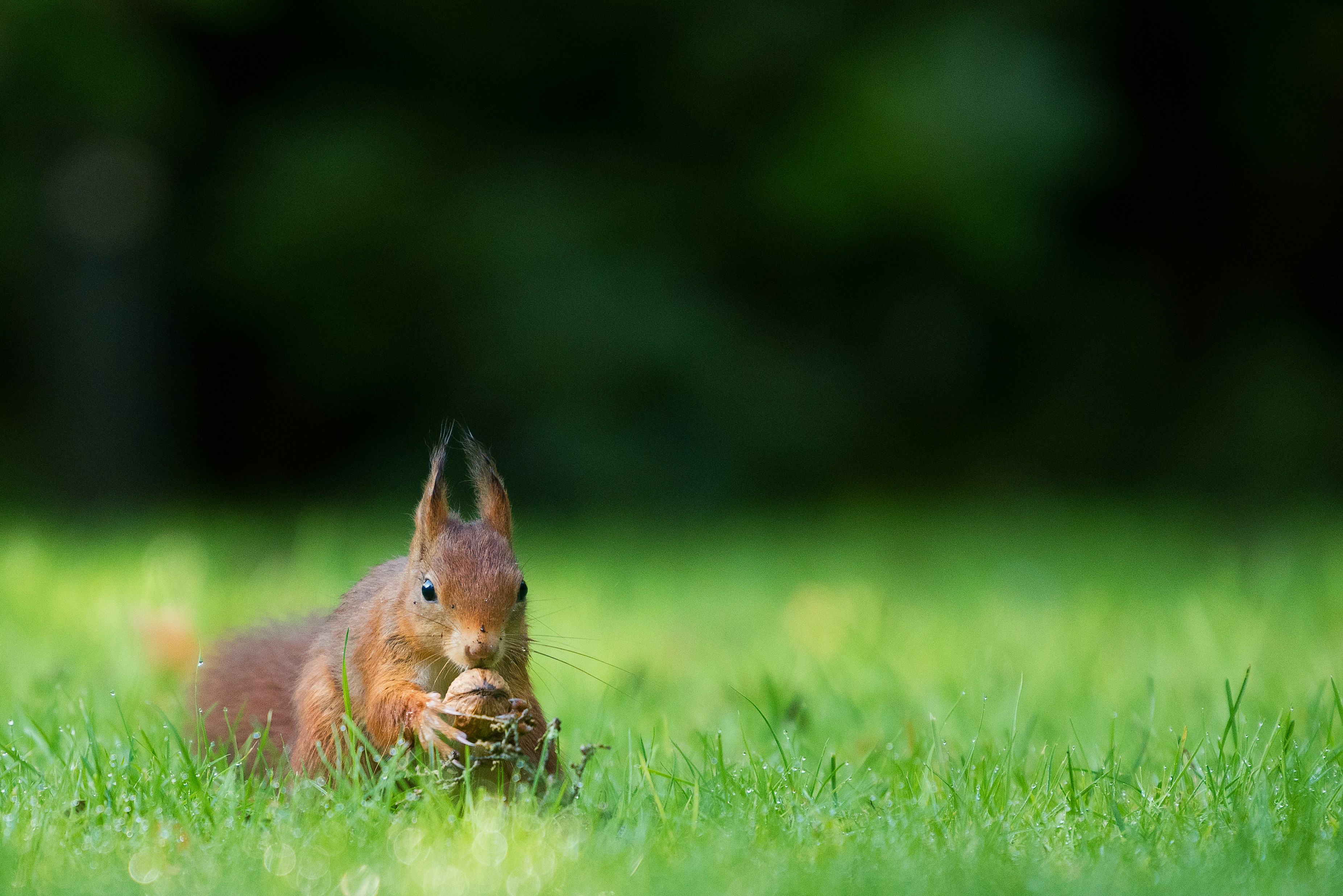 Photo by vincentvanzalinge