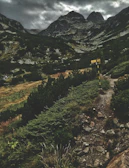 A rugged mountain trail at dawn symbolizing the start of a challenging journey
