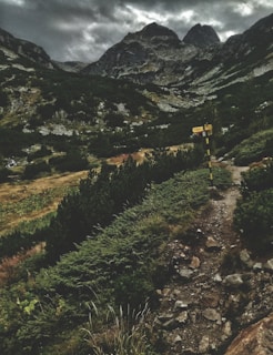 A rugged mountain landscape with overcast skies creates a dramatic scene. The rocky path leads through dense green shrubs and slopes upwards towards towering peaks. In the foreground, a weathered trail signpost stands amidst the natural foliage, pointing towards adventure.