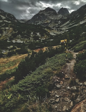 A rugged mountain landscape with overcast skies creates a dramatic scene. The rocky path leads through dense green shrubs and slopes upwards towards towering peaks. In the foreground, a weathered trail signpost stands amidst the natural foliage, pointing towards adventure.