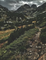 A rugged mountain landscape with overcast skies creates a dramatic scene. The rocky path leads through dense green shrubs and slopes upwards towards towering peaks. In the foreground, a weathered trail signpost stands amidst the natural foliage, pointing towards adventure.