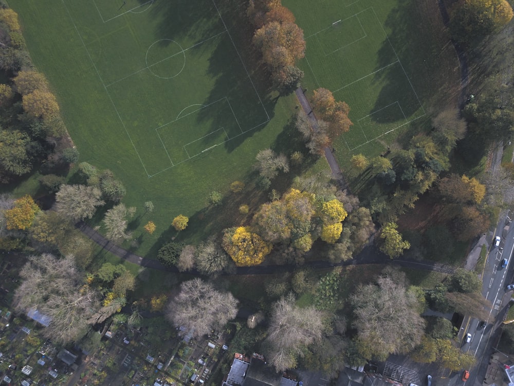 birds eye view photo of stadium and trees