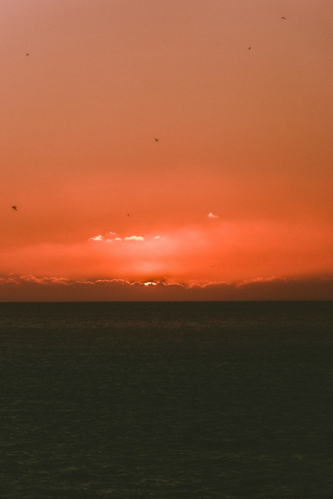 silhouette photo of clouds and body of water