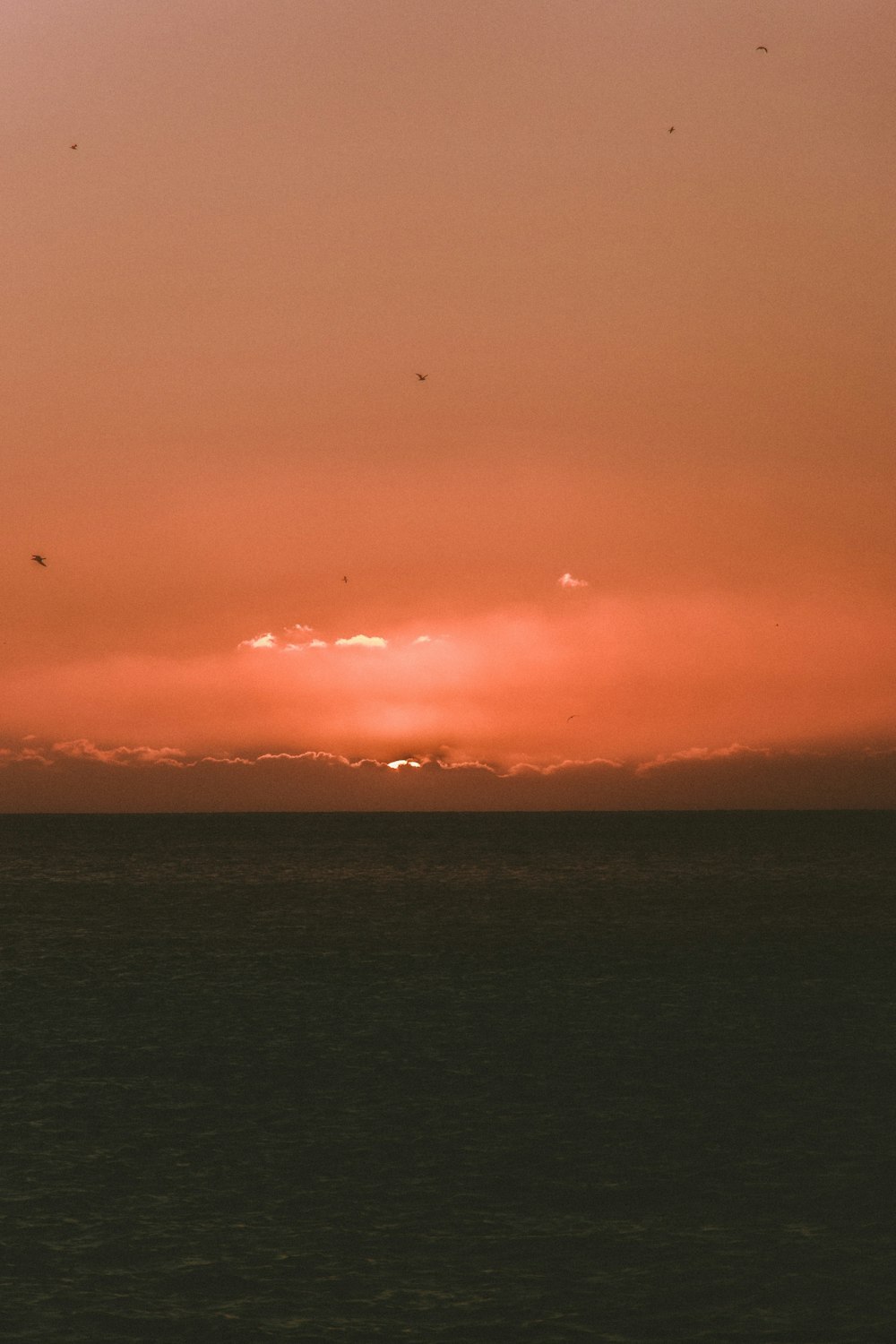 silhouette photo of clouds and body of water