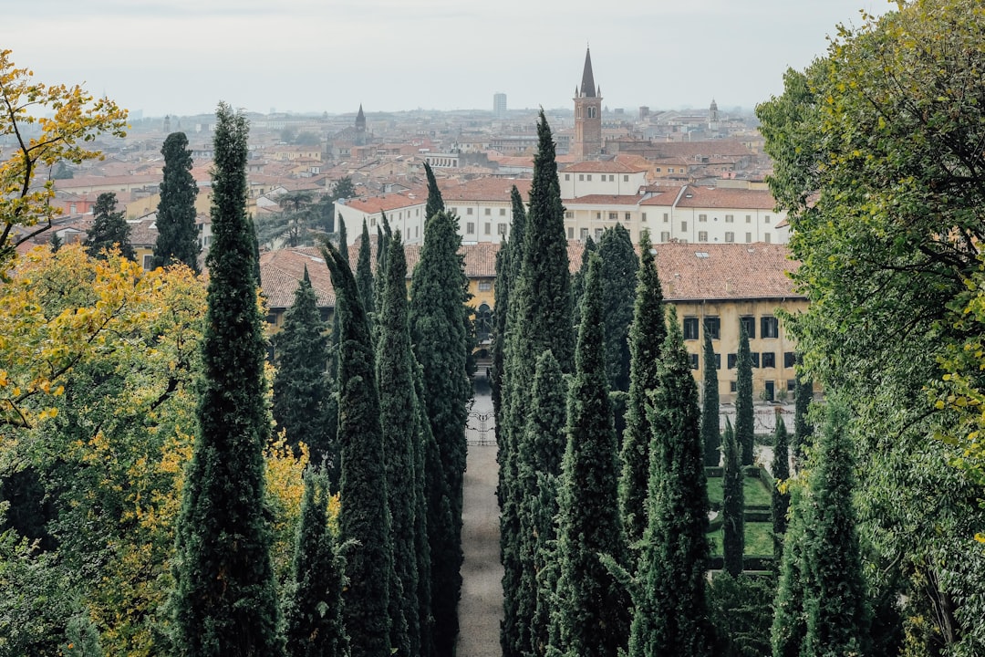 Travel Tips and Stories of Verona in Italy