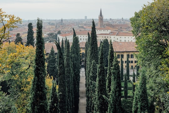 photography of green trees and building under white sky in Giardino Giusti Italy