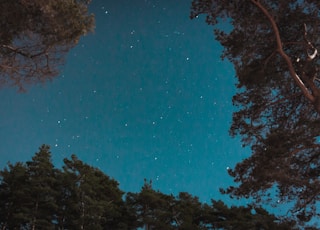 low angle photography of stars