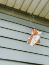 Close-up of a technician applying spider spray around a cozy home exterior.