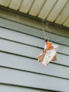 Technician spraying around a home's foundation to prevent spider infestations.