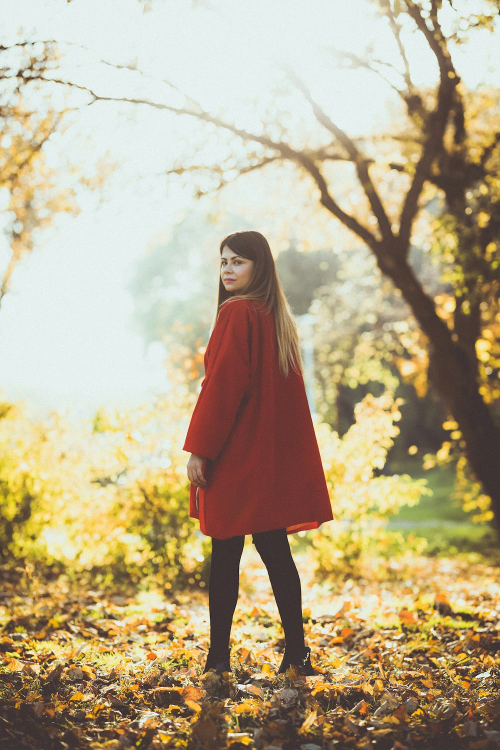 selective focus photography of woman standing at dried-leaf filled ground under ray of sun