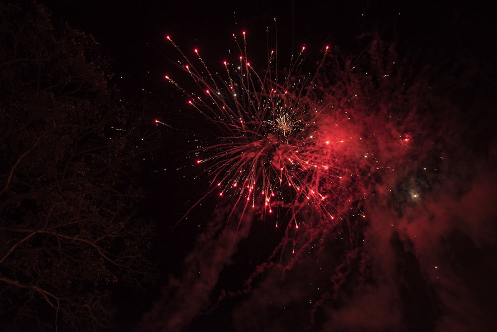 fuegos artificiales rojos