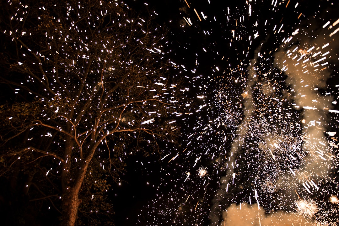 fireworks at nighttime