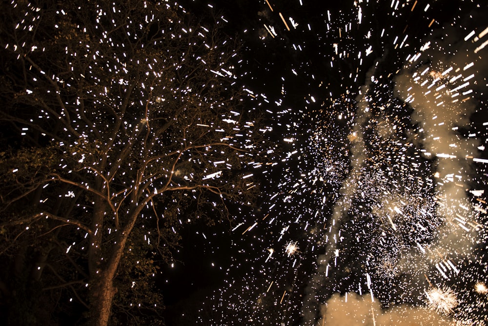 fireworks at nighttime