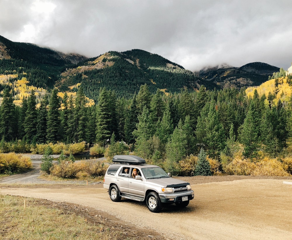 gray Toyota 4Runner near trees