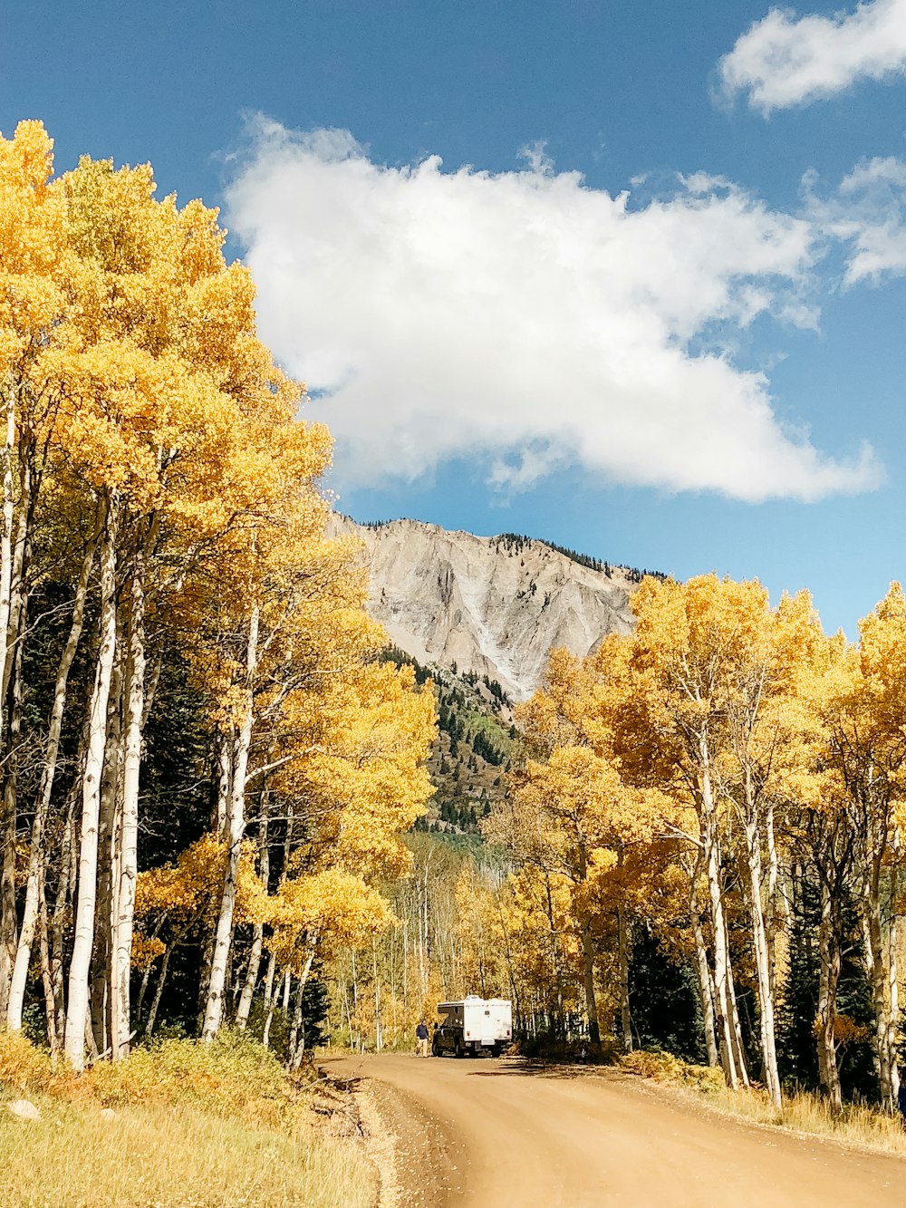 Van entouré d’arbres pendant la journée