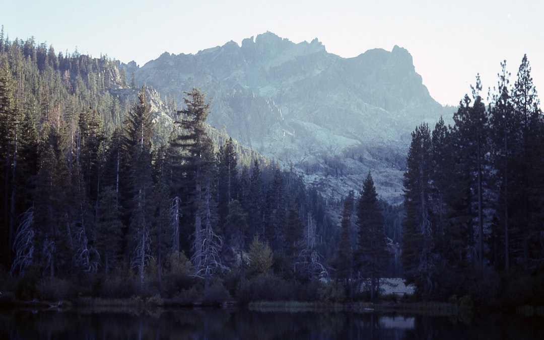 travelers stories about Nature reserve in Lower Salmon Lake, United States