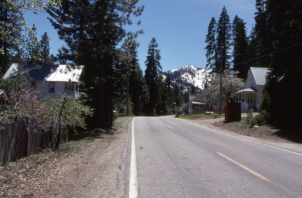 A quiet, rural road curves gently past houses with white roofs. Tall evergreen trees line both sides, and a snow-capped mountain is visible in the background under a clear blue sky.