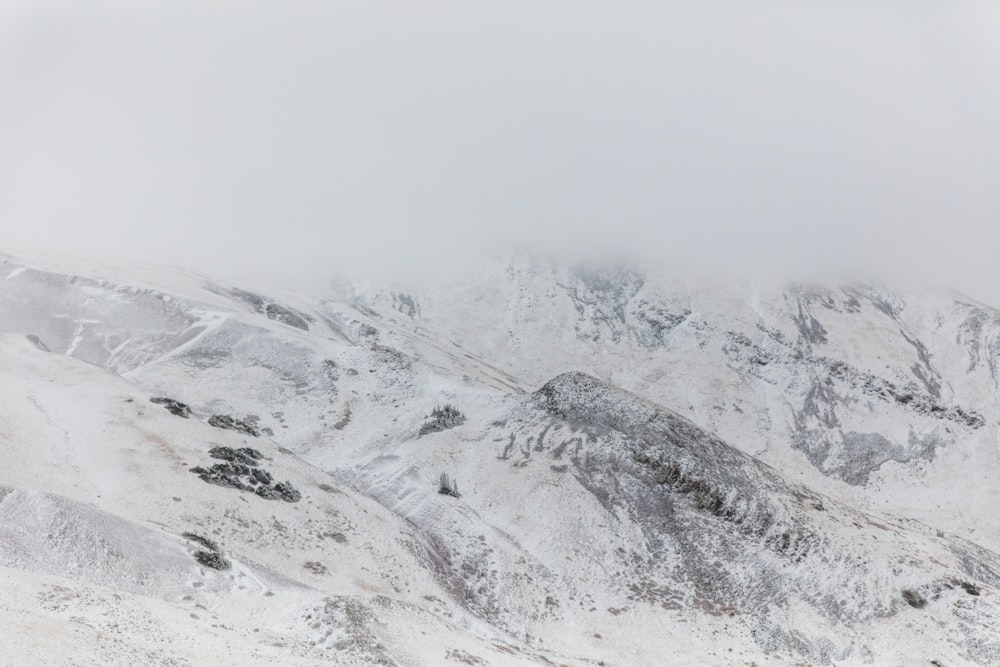 mountains covered by snow