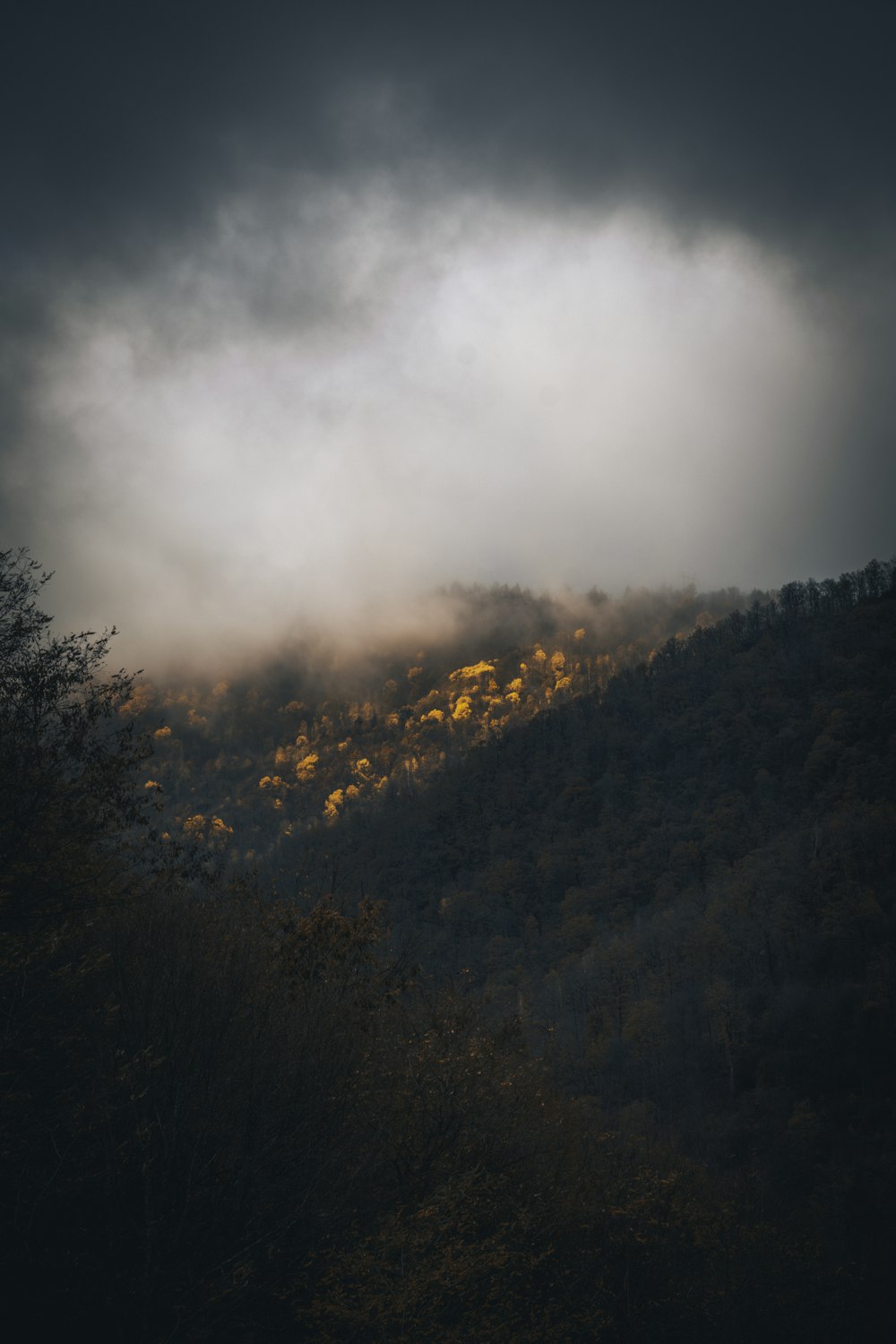 landscape photo of mountain during daytime