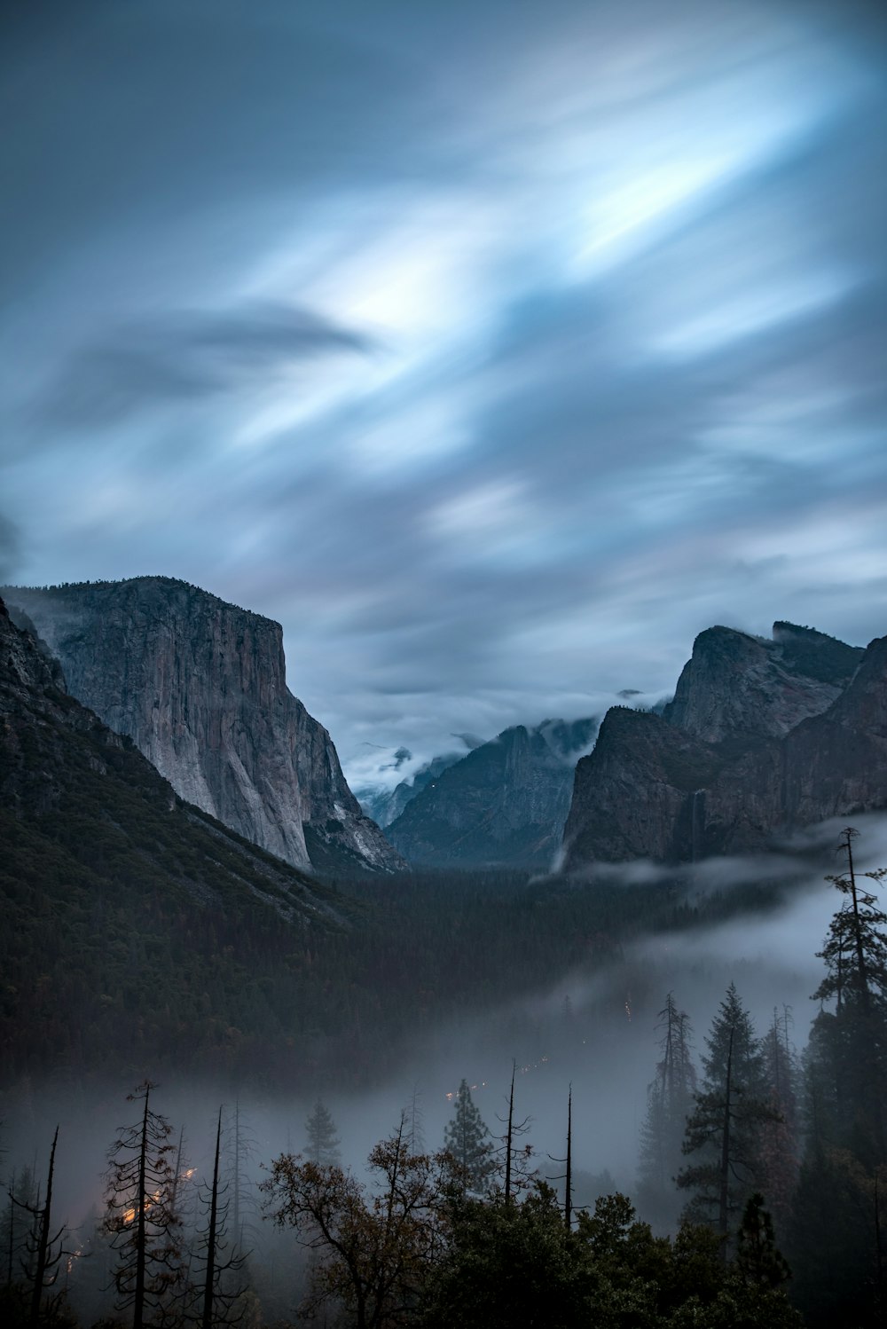 photography of trees and mountain under white sky