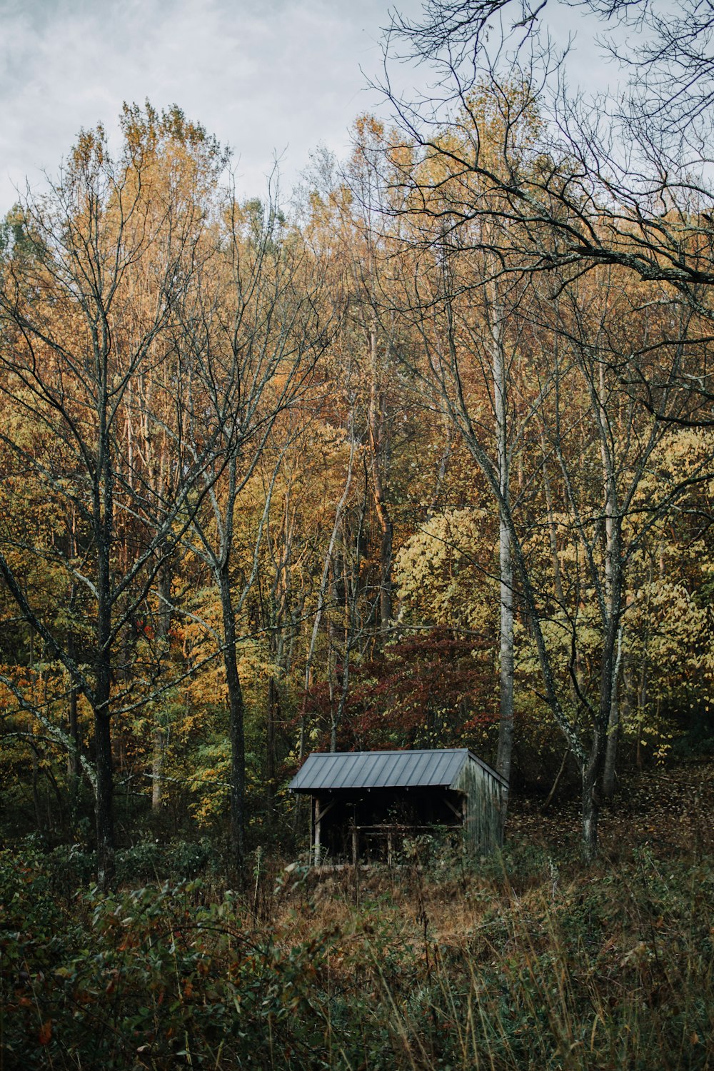 gray shed on grass field