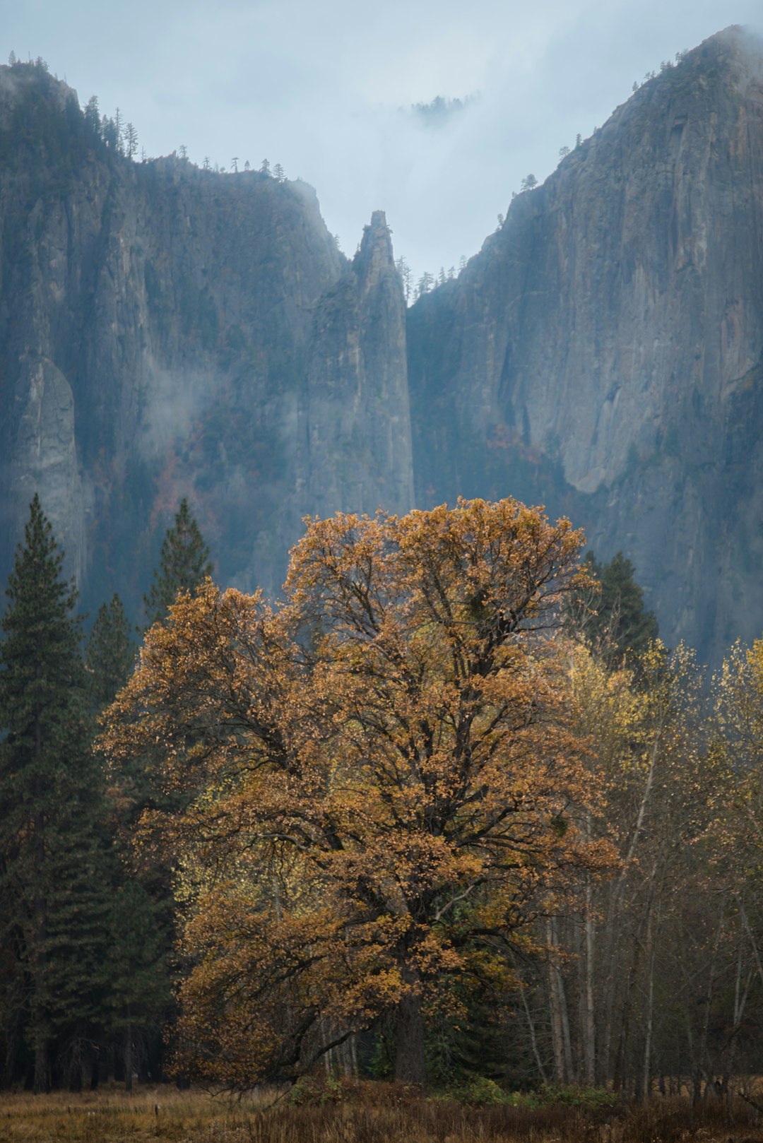 green trees near rock hill