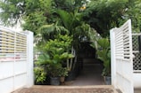 Tropical garden path leading to a private villa entrance surrounded by lush greenery.