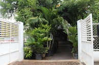 Pathway lined with fragrant frangipani flowers leading to the villa entrance.