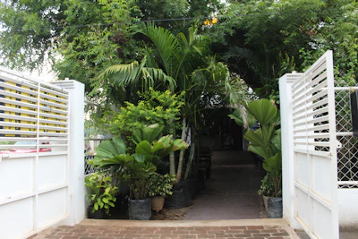 Pathway lined with tropical plants leading to the guest house entrance.