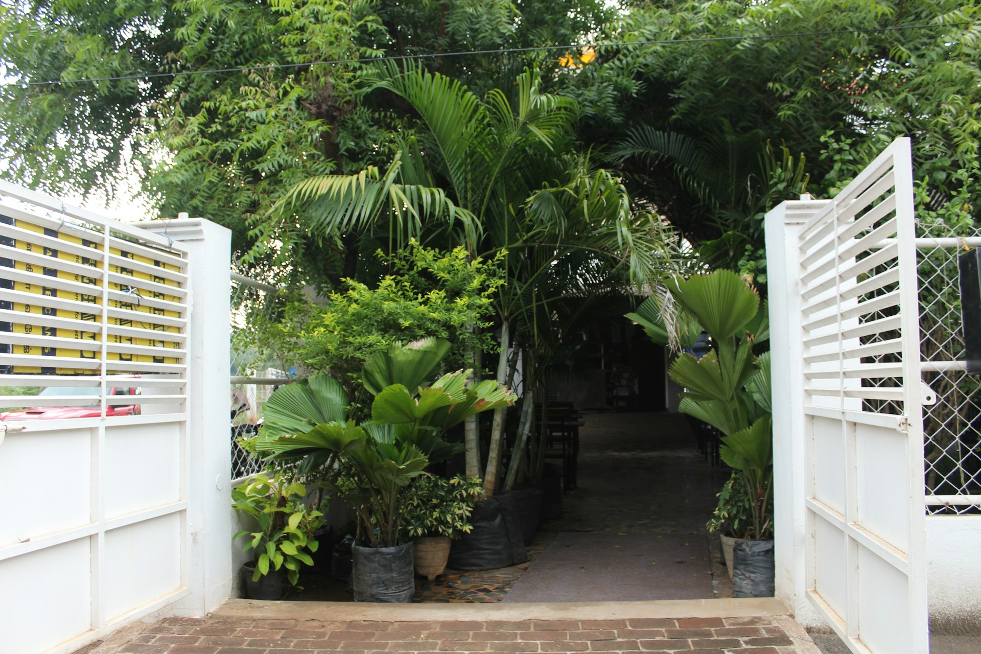 gray computer monitor