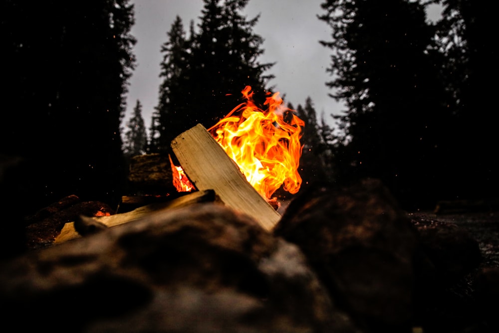 lighted bonfire during nighttime