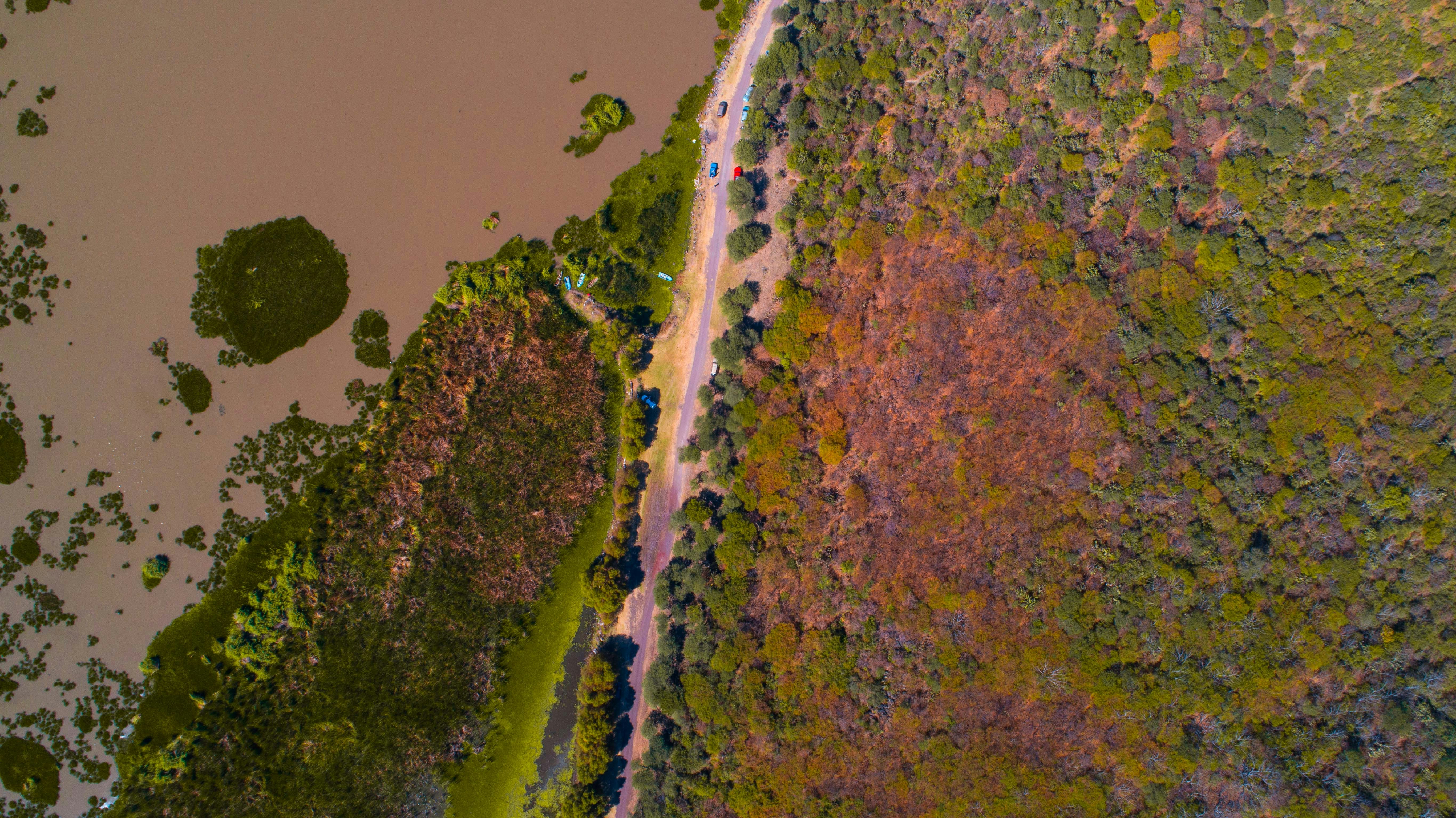 Photo by dani_franco