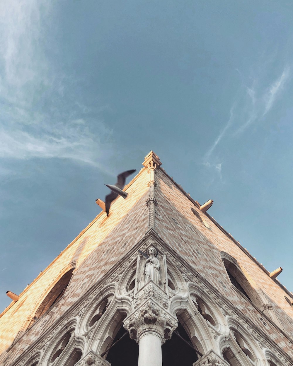 oiseau gris volant près du bâtiment