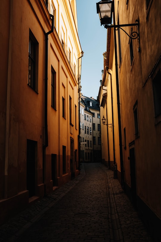 concrete pathway between concrete buildings a daytime in Gamla stan Sweden