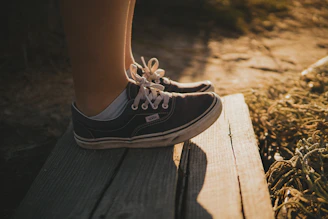 person wearing black Vans low-top sneakers