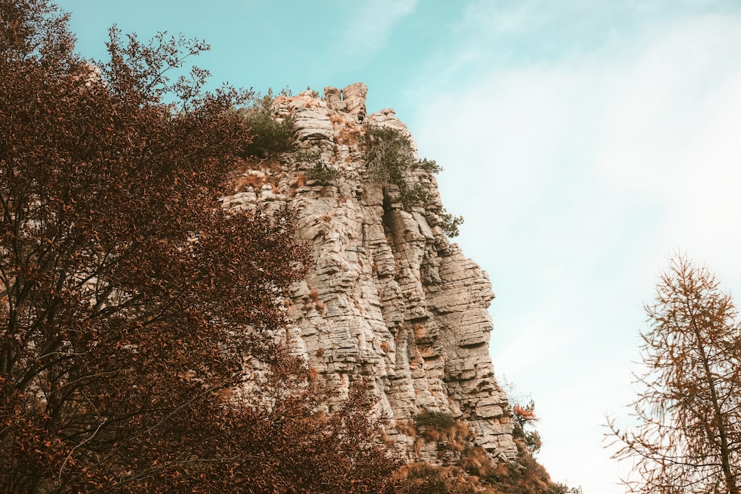 brown mountain near trees