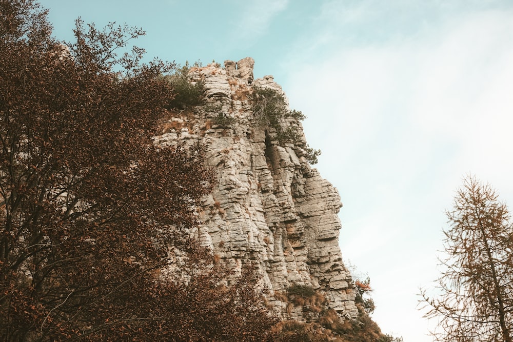 brown mountain near trees