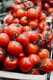 tomatoe lot
