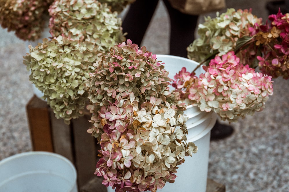 pink and yellow petal flower on white plastic bucket