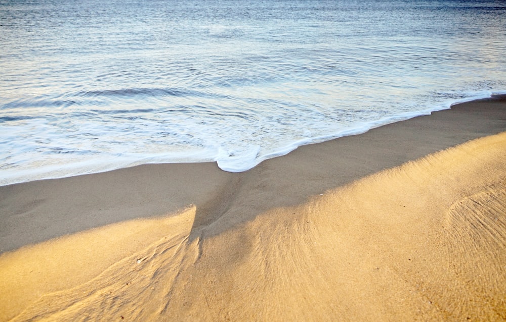 aerial photography of seashore during daytime