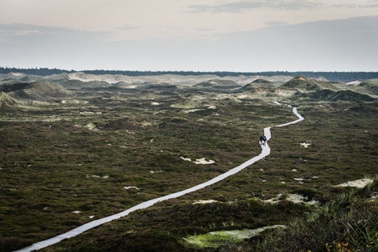 Amrum things to do in Sylt
