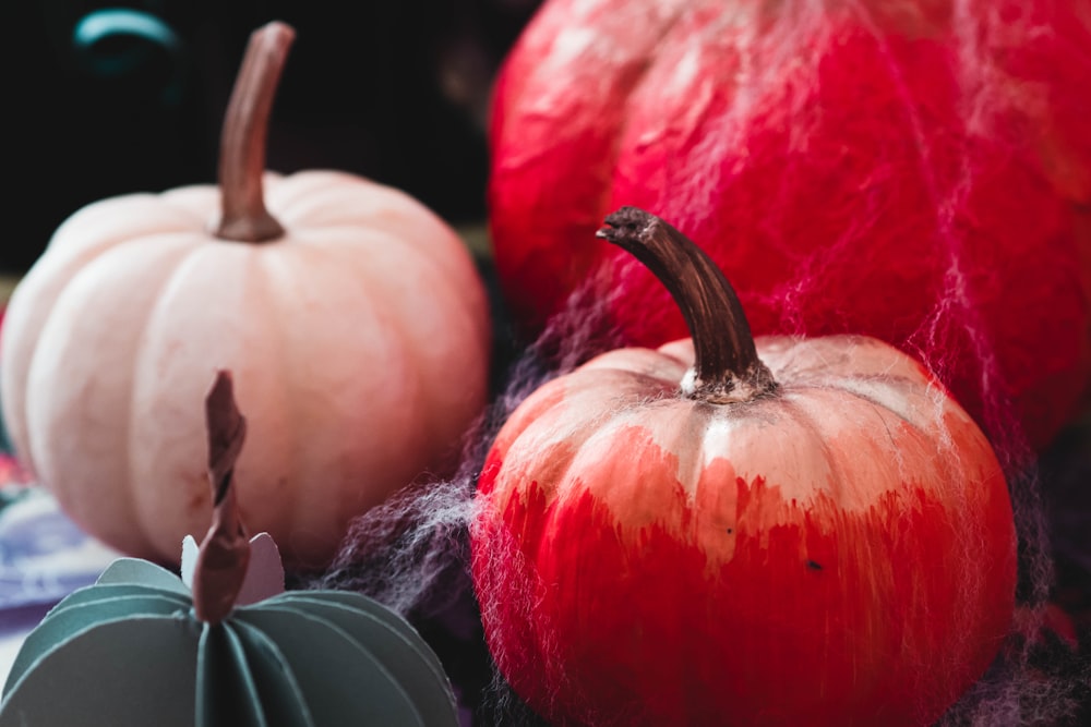 three red, white, and pink pumpkins