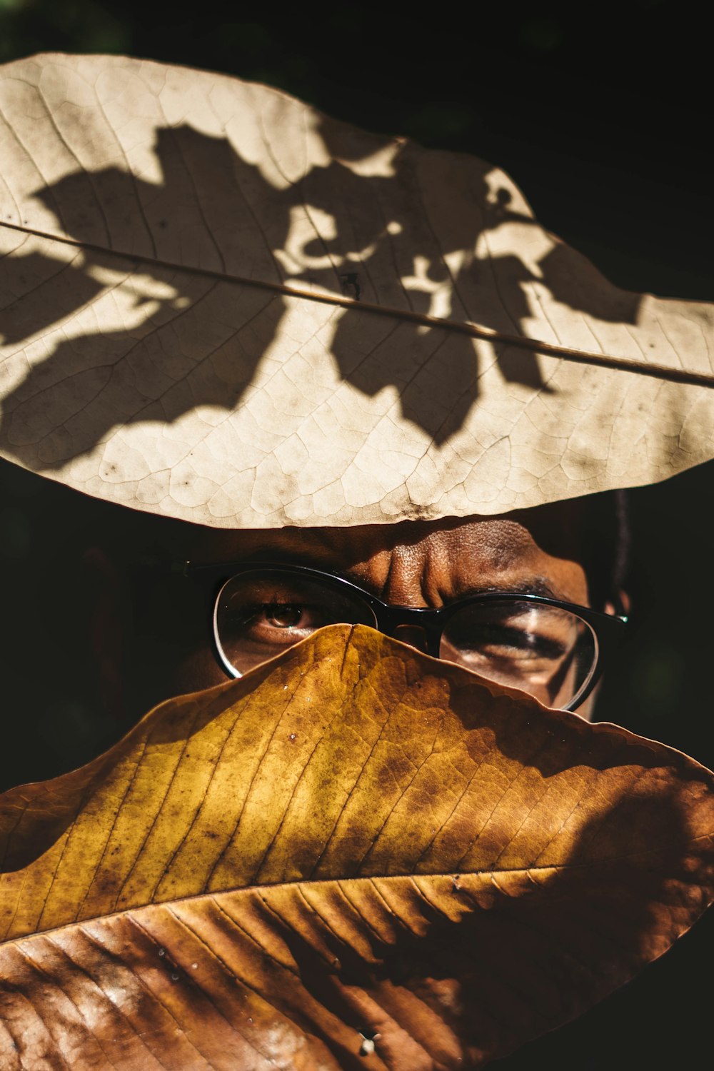 person wearing eyeglasses between brown leaves