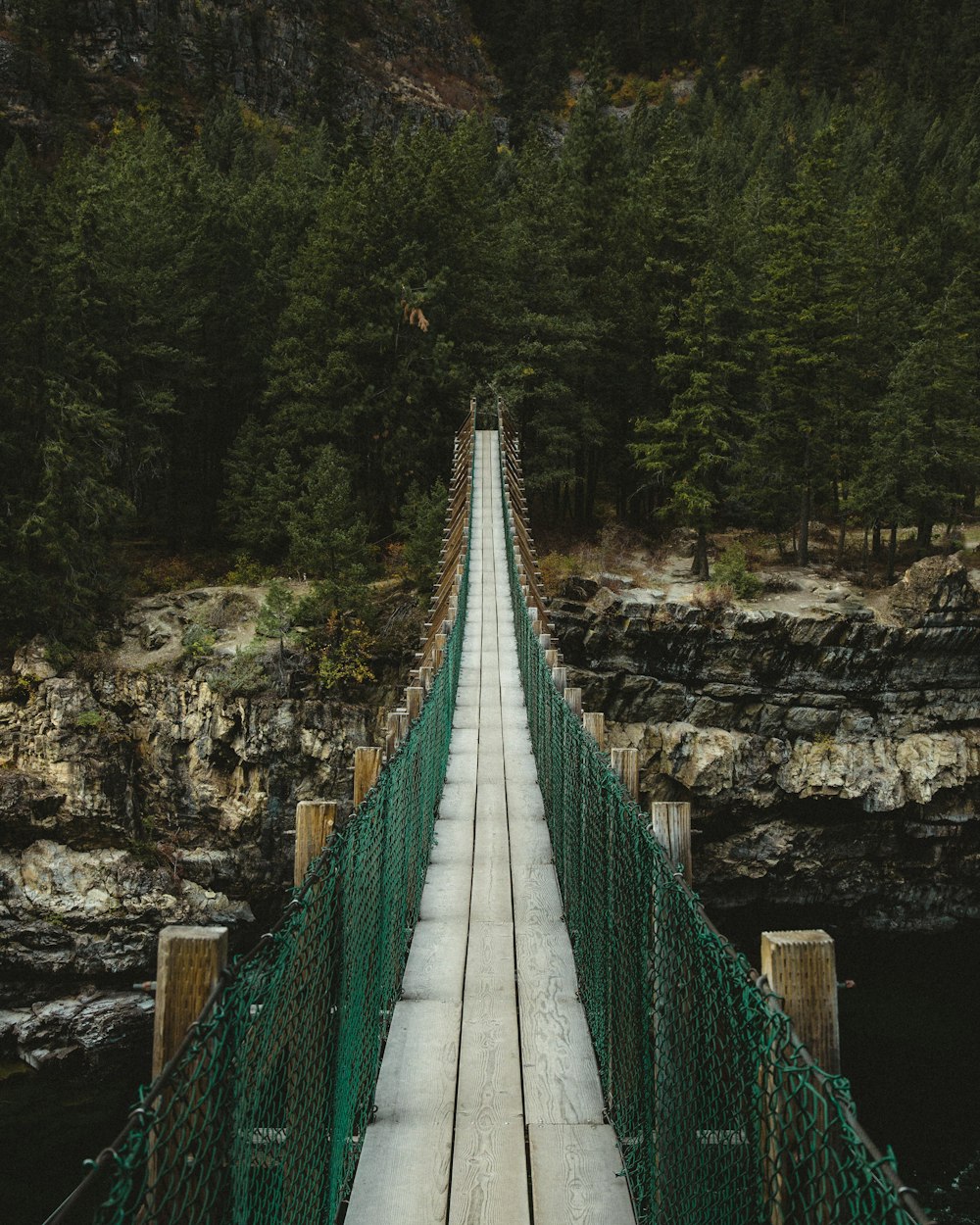 schmale Holzbrücke in der Nähe von Bäumen